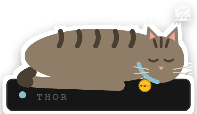Thor, el gato jefe de sistemas, dormido sobre su mini servidor